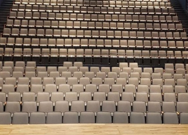 Photo of the seats in the Surbrugg/Prentice Auditorium
