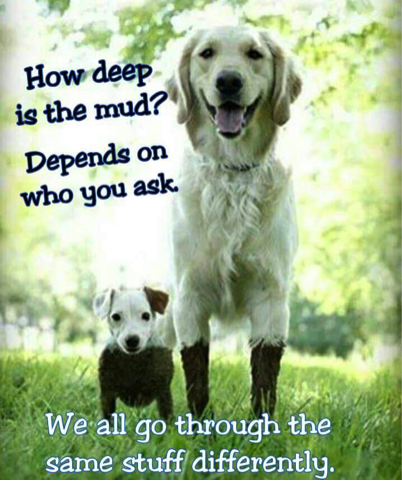 How deep is the mud? Depends on who you ask. We all go through the same stuff differently.