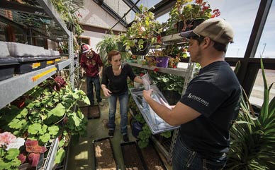 Agroecology students Jayson Serl, Maire Walsh, and Dallin Hughes set up class experiments in the campus greenhouse.