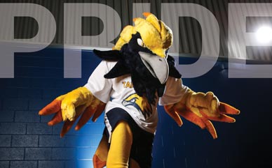 Old Talon mascot costume getting stomped