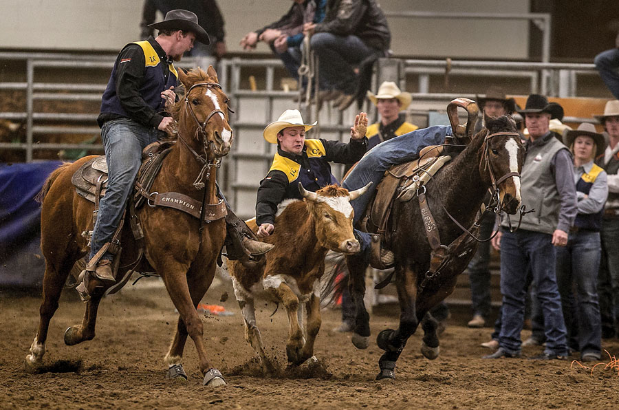 Austin Hurlburt leaping onto a calf during steer wrestling