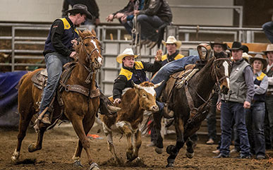 Austin Hurlburt leaping onto a calf during steer wrestling