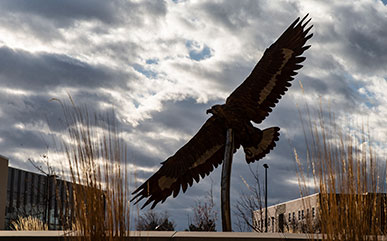 Eagle sculpture on campus