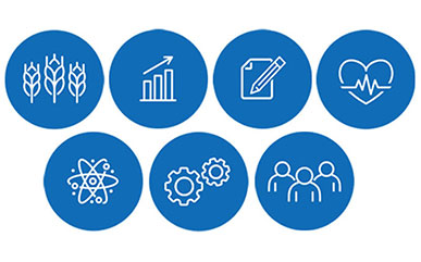 seven icons for the seven Pathways seven icons for the seven Pathways