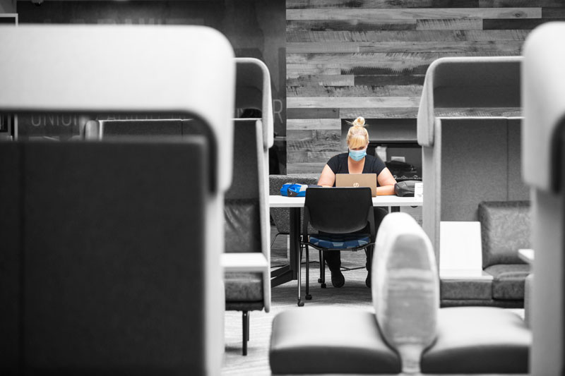 LCCC nursing student  Sarah Chaput prepares  for a Zoom meeting  with her instructor  in the Crossroads Building.
