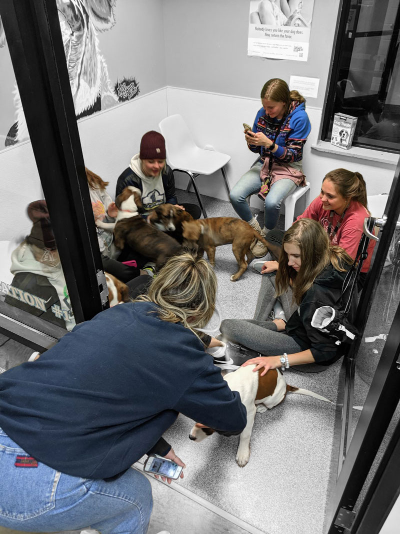 LCCC Volleyball team at the Cheyenne Animal Shelter with several players and dogs in a visitation room