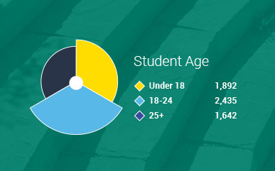 example graph from the annual report of students' ages