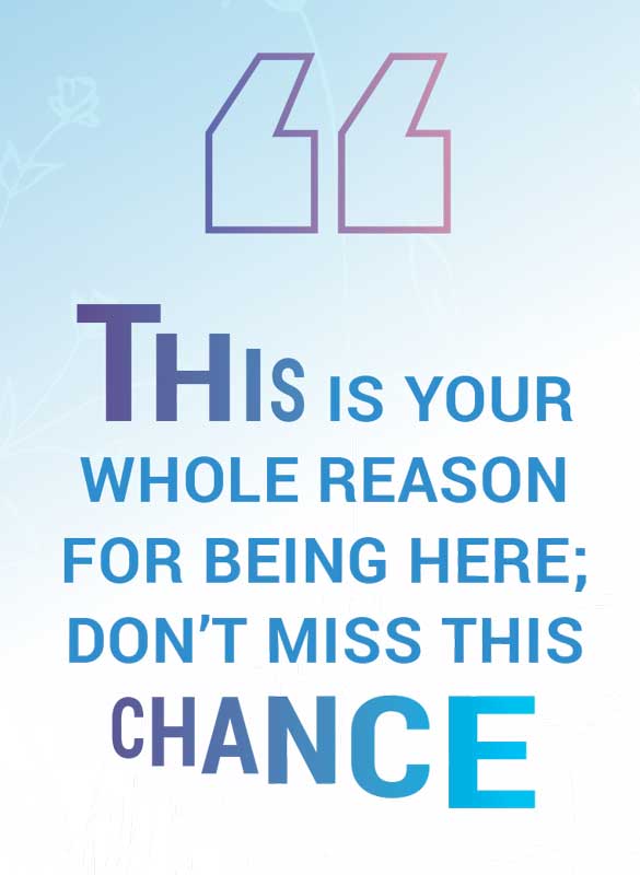 Quote that says "This is your whole reason for being here; don't miss this chance."