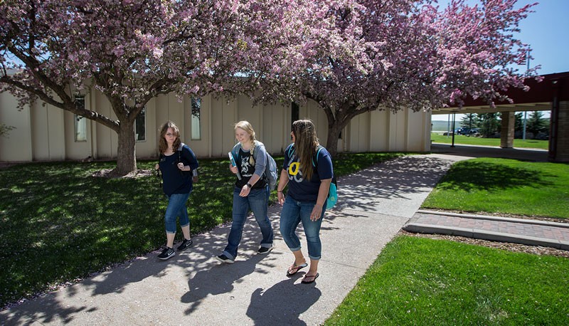 three girls walking on campus during spring with tree blooming