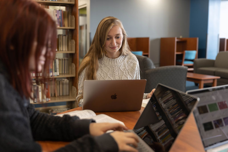 photo of two students studying with laptops in the Ludden Library