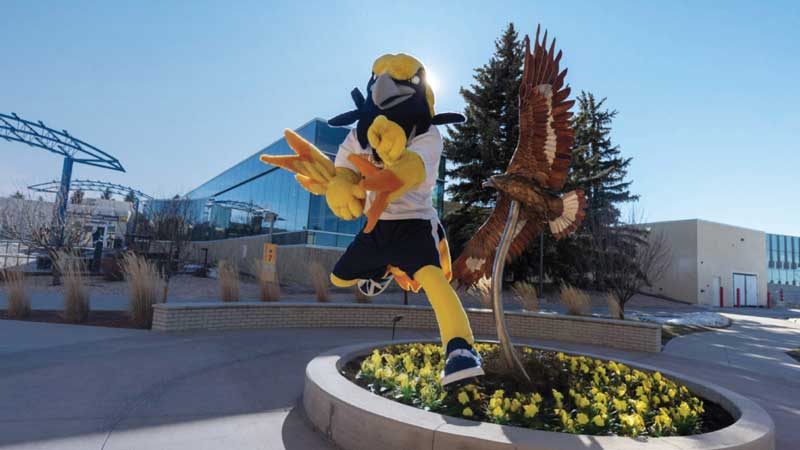 Talon's Open House The Talon mascot is captured mid-jump above a circular flower bed filled with yellow flowers. The mascot has a black-and-yellow head with a beak, wears a white shirt, dark shorts, and athletic shoes, and extends both arms forward as if playfully posing. Behind the mascot, there is a tall decorative statue of an eagle with its wings spread. The setting is an outdoor plaza with paved walkways, ornamental grasses, trees, and modern buildings with glass and neutral-colored walls under a clear blue sky.