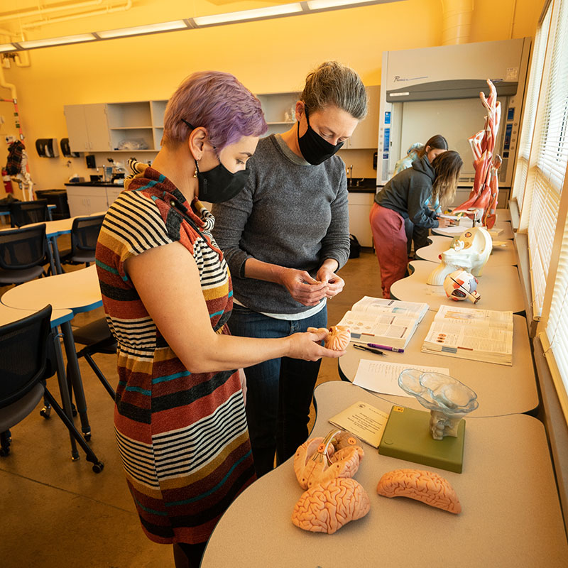 photo of faculty and students in a science classroom looking at model body parts.