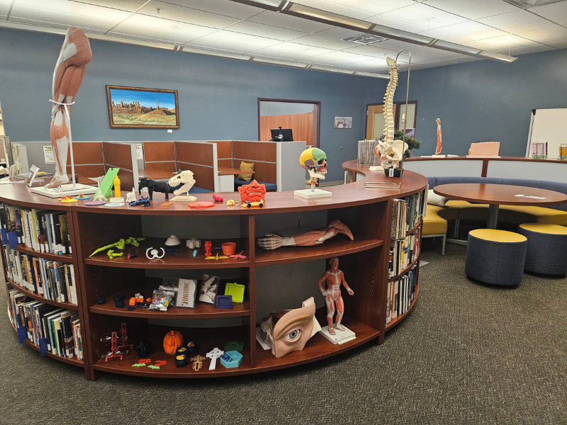 3 study carrels with tables, a bench and pillow plus view of anatomy models on circular bookshelf in each