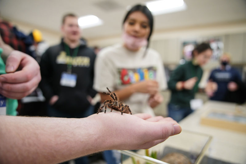 Photo of student's hand holding a spider in the biology lab with other students in the background looking at it.