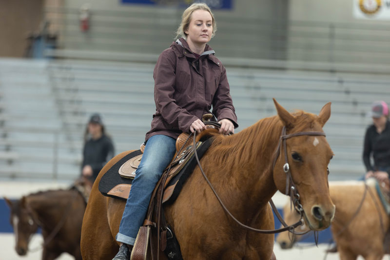 Photo of a student riding a horse in the LCCC Arena.