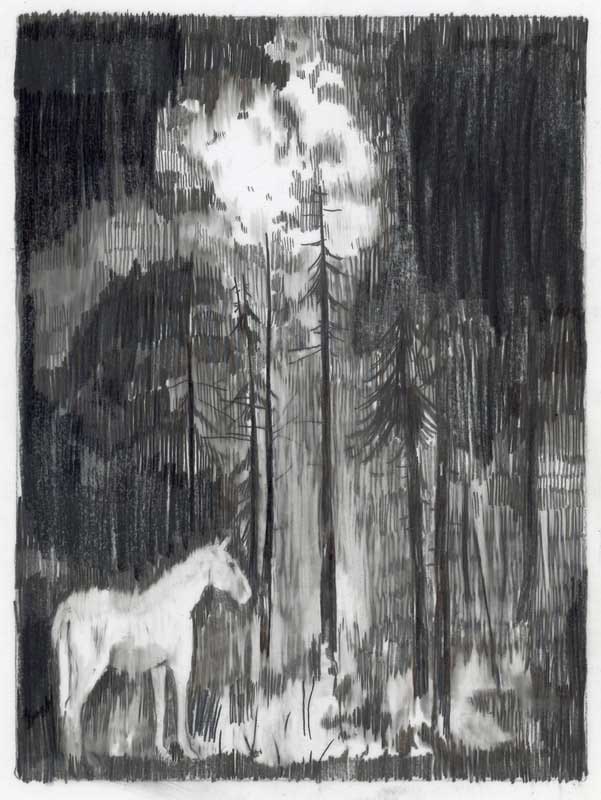 drawing by Laura Grossett of a horse in a forest