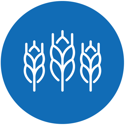 icon for agriculture and equine pathway
