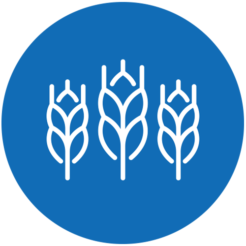 Agriculture and Equine Pathway icon