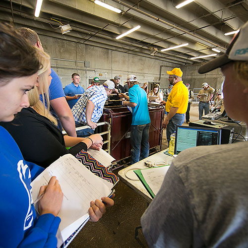 students taking notes in class with cow and instructor