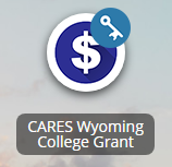 CARES Wyoming grant icon
