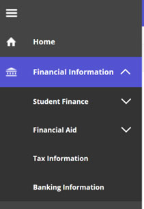 screenshot of navigation with Financial Information