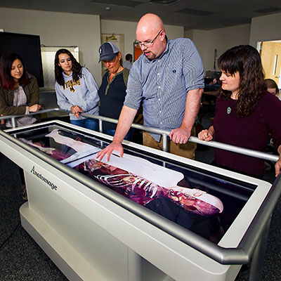 The cadaver table in the science classroom on campus. It has an image of the muscles in the human body on it.