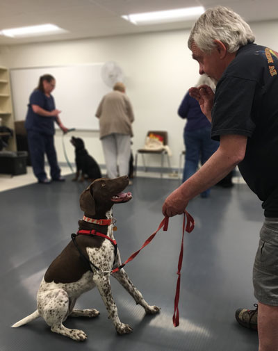 man holding treat for dog sitting in class